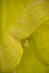 Light Green Chiniya Silk Salwar Suit with Pichwai Motifs