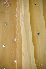 Yellow Tissue Silk Salwar Suit with Hand Emberoidery