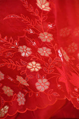 Red Organza Silk Salwar Suit Set with Appliqué Floral Work