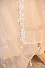 Off White Organza Silk Suit Set with Appliqué Work