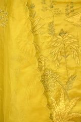 Lime Yellow Organza Silk Salwar Suit Set with Swan and Floral Hand-Embroidery