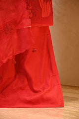 Red Organza Silk Salwar Suit Set with Swan and Floral Hand-Embroidery