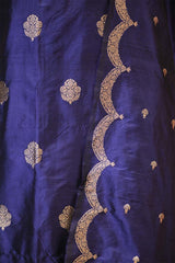 Blue Banarasi Salwar Suit Set with Gold Zari Motifs and Dupatta