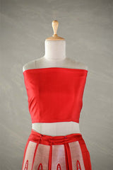 Red Wedding Lehenga with Gold And Silver Zari Work