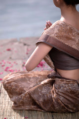 Light Brown Kalamkari Printed Chanderi Silk Saree