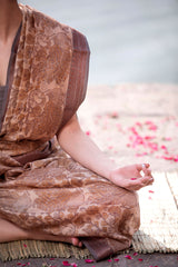 Light Brown Kalamkari Printed Chanderi Silk Saree