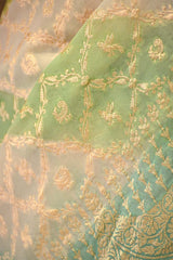 Pastel Green Rangkat Banarasi Georgette Khaddi Silk Saree with Gold Zari Work
