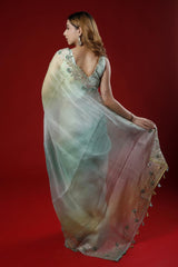 Sage green saree, organza saree, Bollywood saree, Banarasi saree, party wear saree, Wedding Saree, cocktail saree