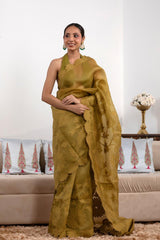 Heena Green saree, organza saree, Bollywood saree, Banarasi saree, party wear saree, Wedding Saree
