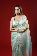 A woman wearing an aqua green shaded color party wear saree with an intricate designer border on a red background