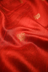 GunGun Uprari in Red Raw Silk Banarasi Saree