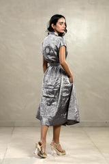 A woman in a Silver Tissue silk Party Wear Dress