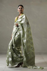 Mint Green Tissue Silk Saree with Silver Zari Circular Motifs
