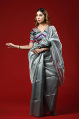 Woman in a silver saree with a red background