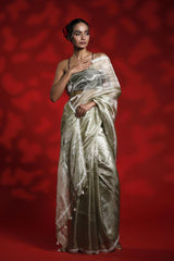 A woman wearing a shiny golden party wear saree with a red background, Tissue Silk Saree