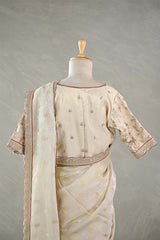 Off White Tissue Silk Saree with Banarasi Designer Blouse