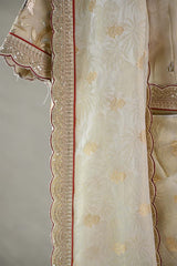Off White Tissue Silk Saree with Banarasi Designer Blouse