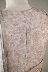 Silver Tissue Silk Saree with Designer Blouse