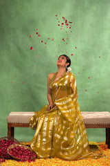 Women wearing Light Green Tissue Silk Party Wear Saree With Sequins Work showing, and scalloped border.