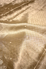 Gungun Uprari in our Banarasi Tissue Silk Saree