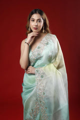A woman wearing an aqua green shaded color party wear saree with an intricate designer border on a red background
