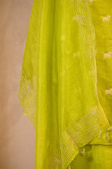 Light Green Chiniya Silk Salwar Suit with Pichwai Motifs