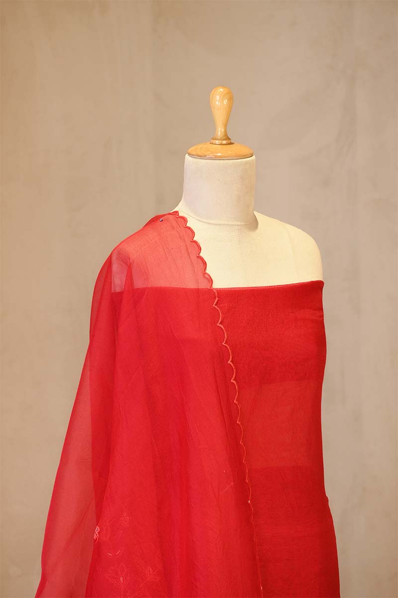 Red Organza Silk Salwar Suit Set with Appliqué Floral Work