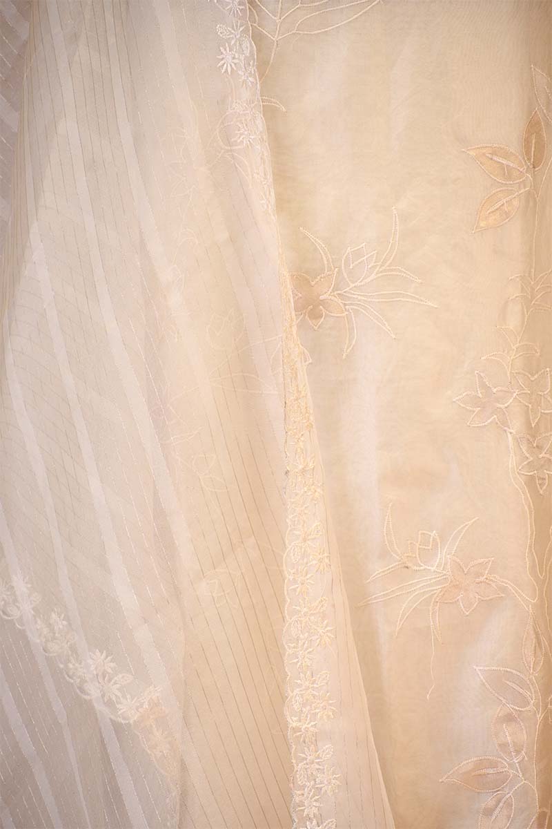 Off White Organza Silk Suit Set with Appliqué Work