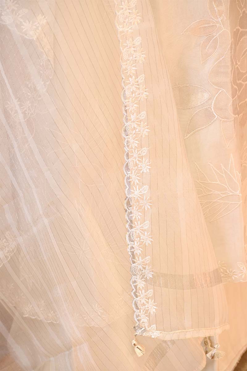 Off White Organza Silk Suit Set with Appliqué Work