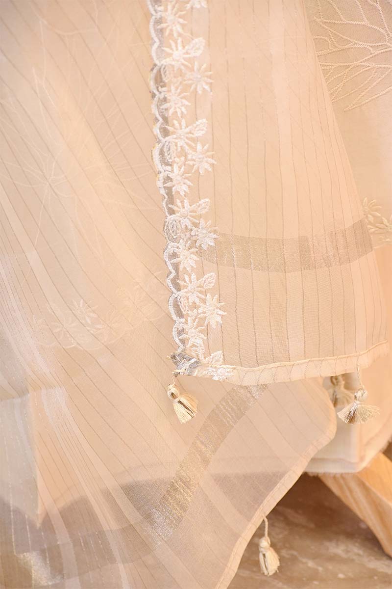 Off White Organza Silk Suit Set with Appliqué Work