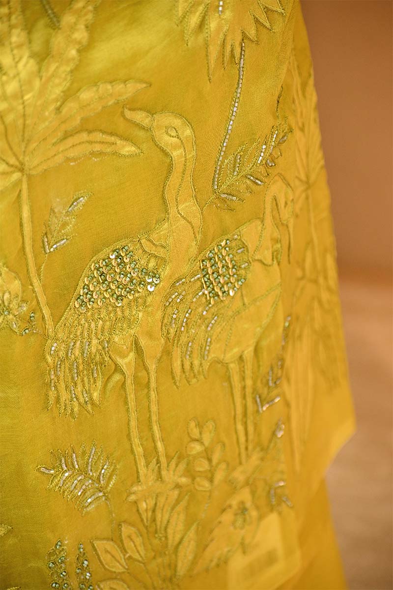Lime Yellow Organza Silk Salwar Suit Set with Swan and Floral Hand-Embroidery