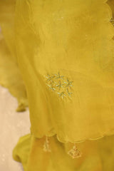 Lime Yellow Organza Silk Salwar Suit Set with Swan and Floral Hand-Embroidery