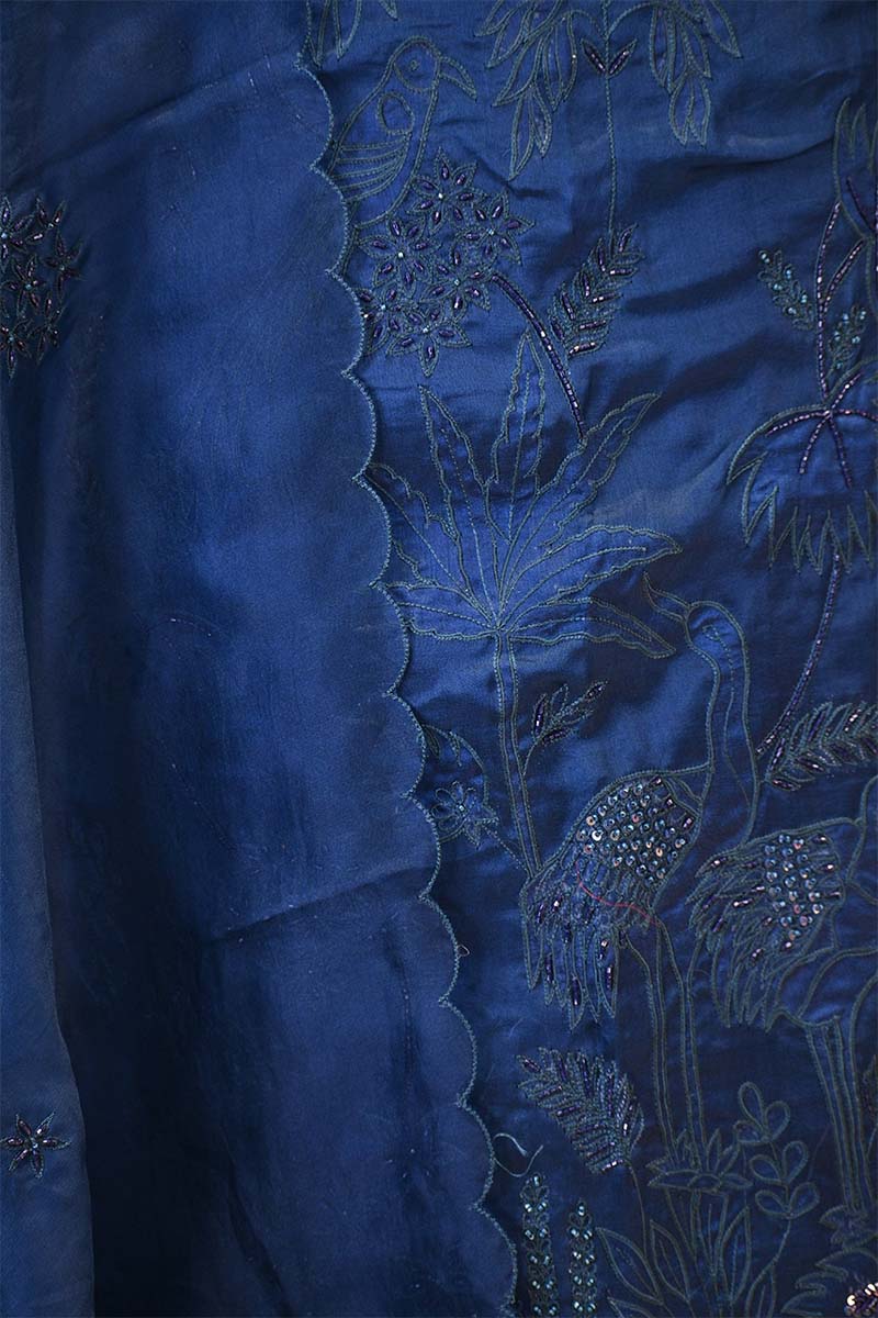 Blue Organza Silk Salwar Suit Set with Swan and Floral Hand-Embroidery