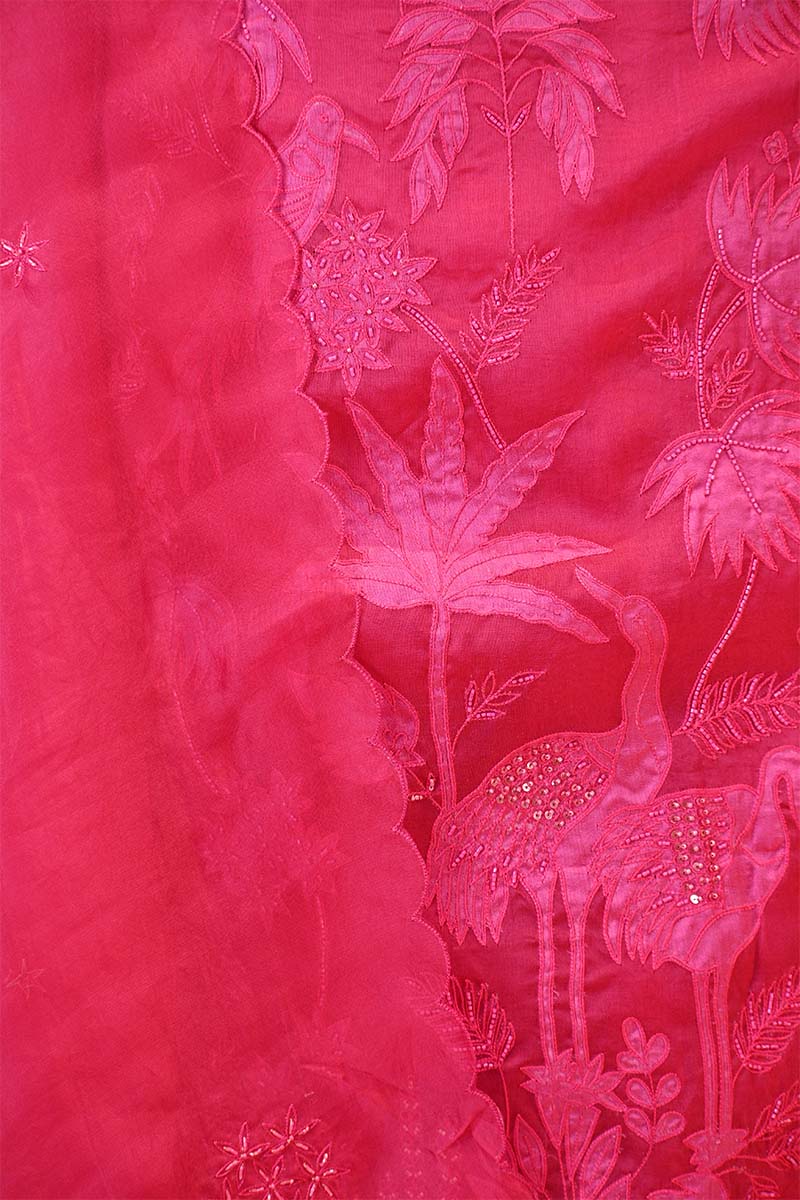 Hot Pink Organza Silk Salwar Suit Set with Swan and Floral Hand-Embroidery