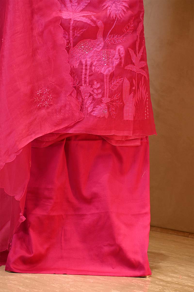 Hot Pink Organza Silk Salwar Suit Set with Swan and Floral Hand-Embroidery