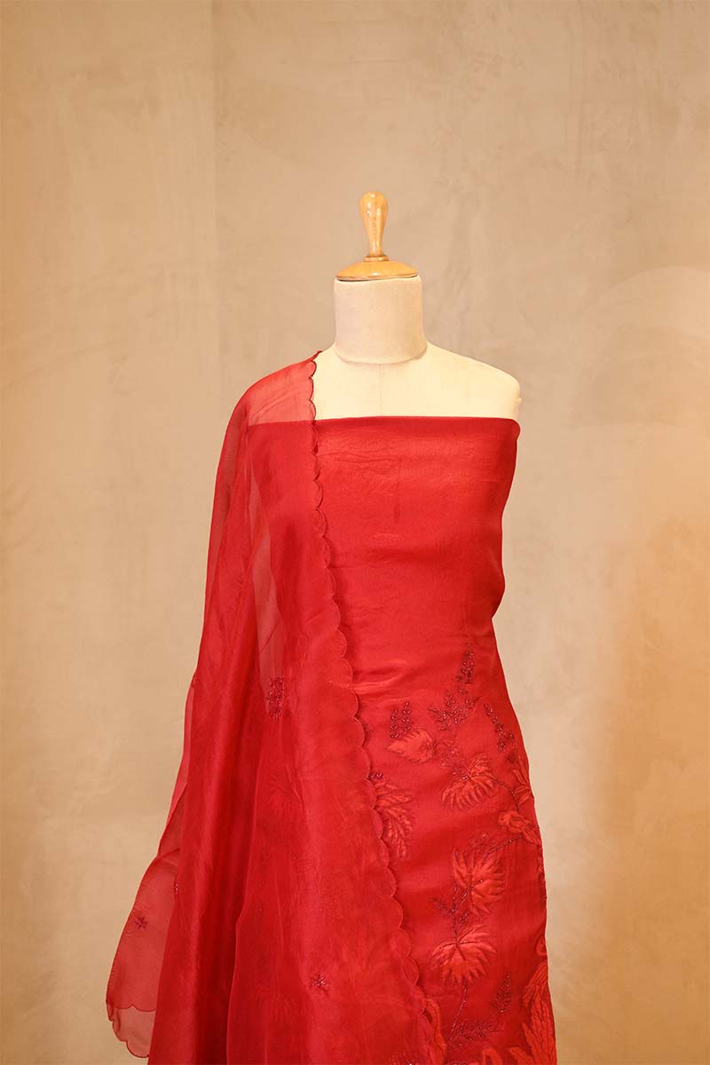 Red Organza Silk Salwar Suit Set with Swan and Floral Hand-Embroidery