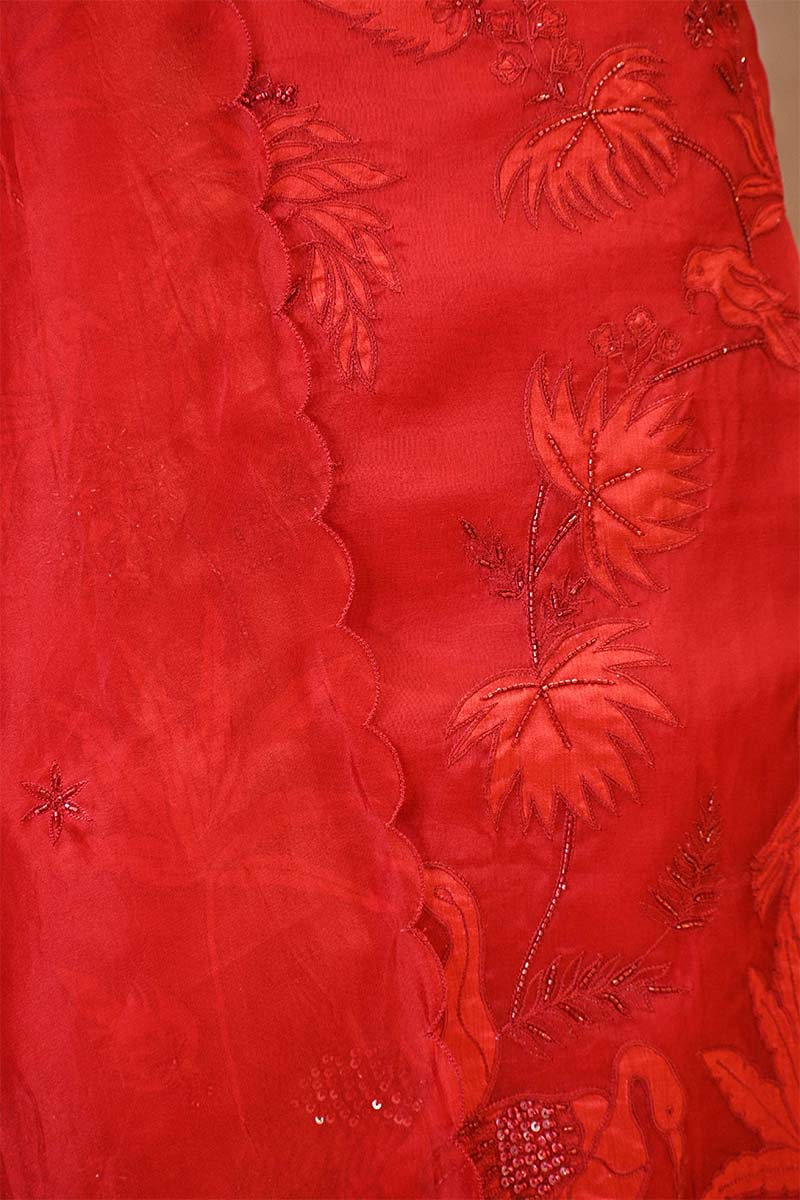 Red Organza Silk Salwar Suit Set with Swan and Floral Hand-Embroidery