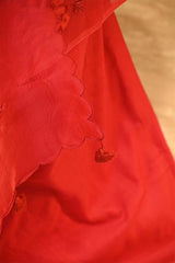 Red Organza Silk Salwar Suit Set with Swan and Floral Hand-Embroidery