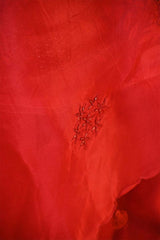 Red Organza Silk Salwar Suit Set with Swan and Floral Hand-Embroidery