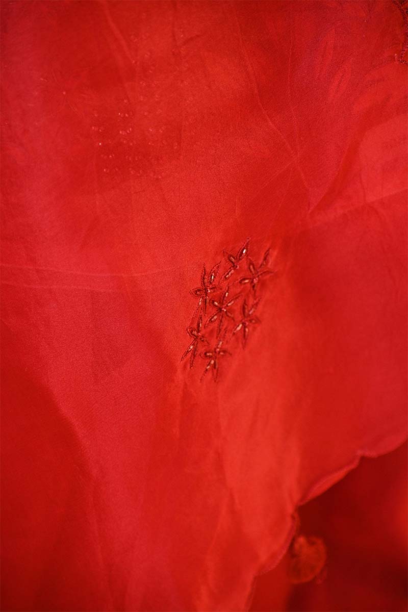 Red Organza Silk Salwar Suit Set with Swan and Floral Hand-Embroidery