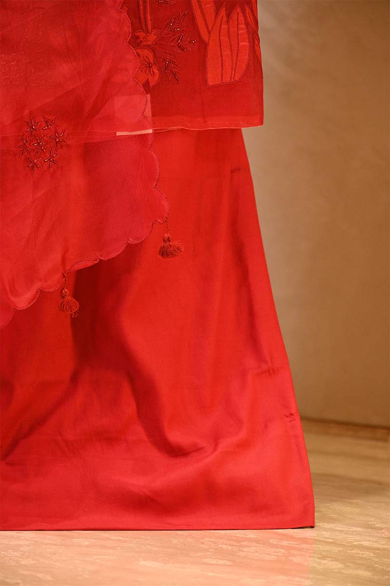 Red Organza Silk Salwar Suit Set with Swan and Floral Hand-Embroidery