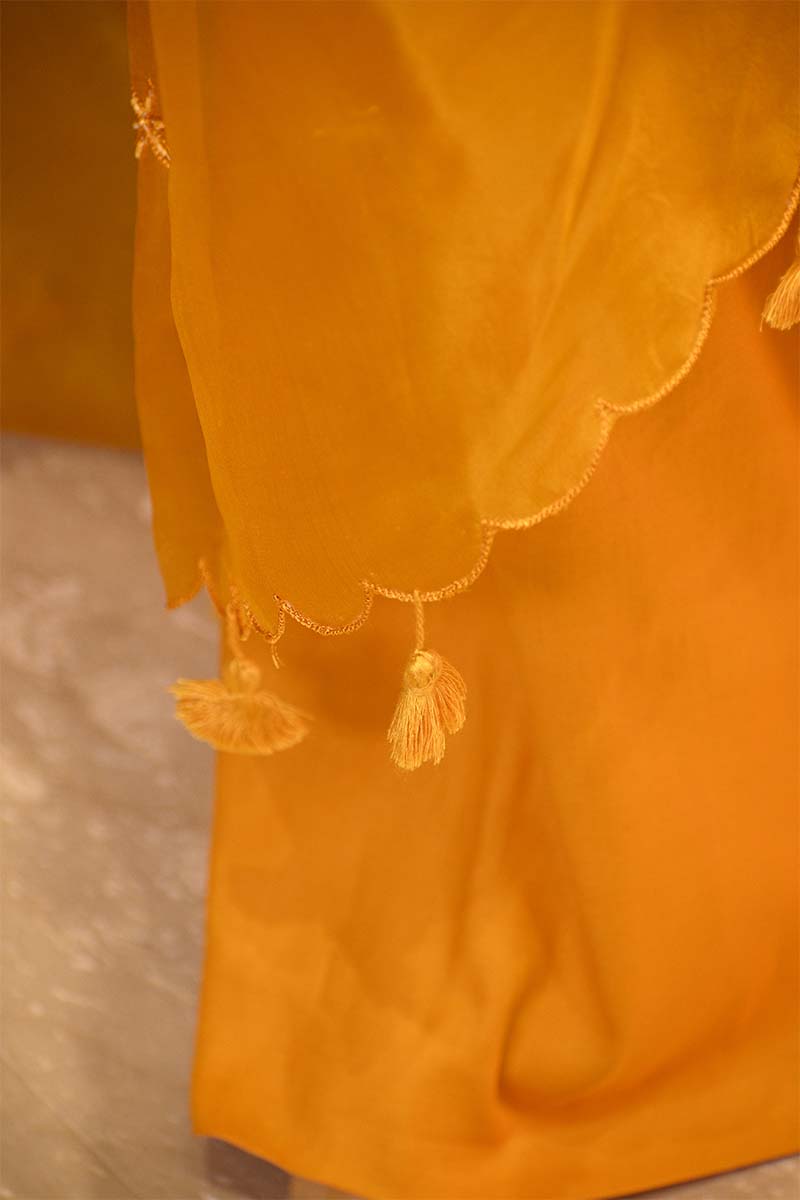 Yellow Organza Silk Salwar Suit Set with Swan and Floral Hand-Embroidery