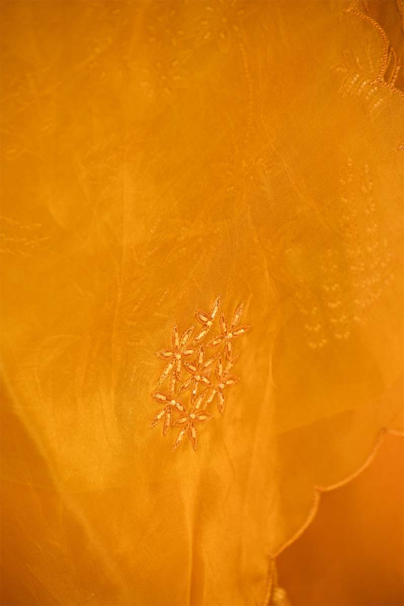 Yellow Organza Silk Salwar Suit Set with Swan and Floral Hand-Embroidery