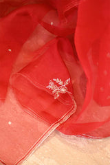 Red Banarasi Silk Suit Set with Gold & Silver Zari and Organza Dupatta