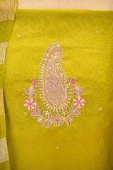 Chartuese Green Organza Silk Salwar Suit Set with Aari Handwork