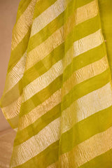 Chartuese Green Organza Silk Salwar Suit Set with Aari Handwork