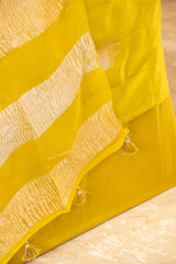 Lime Green Dupion Silk Salwar Suit with Tiger Motifs and Organza Dupatta