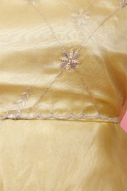 Light Yellow Zardozi Embellished Organza Silk Dupatta