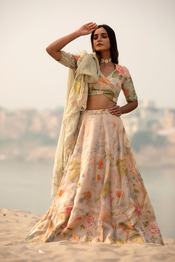 Heeramandi Embellished Organza Silk Lehenga At Chinaya Banaras