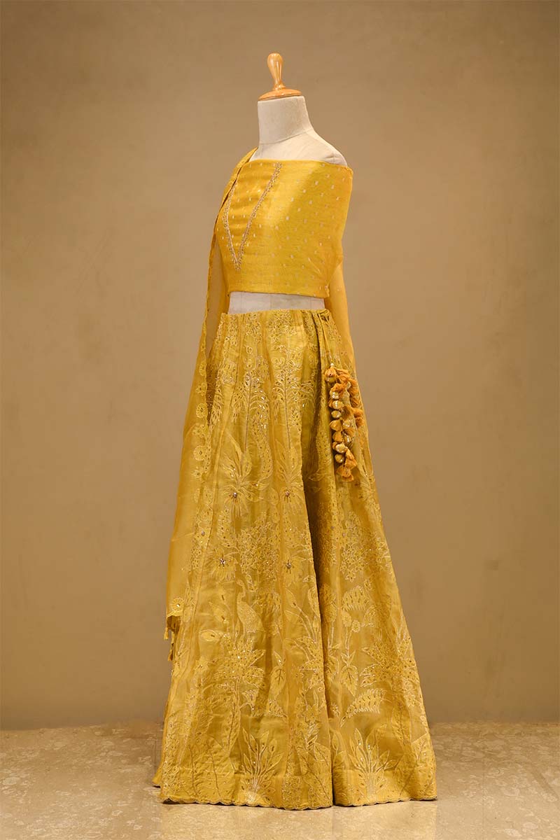 Yellow Organza Silk Bridal Lehenga with Floral Pakshi Applique Embellishments